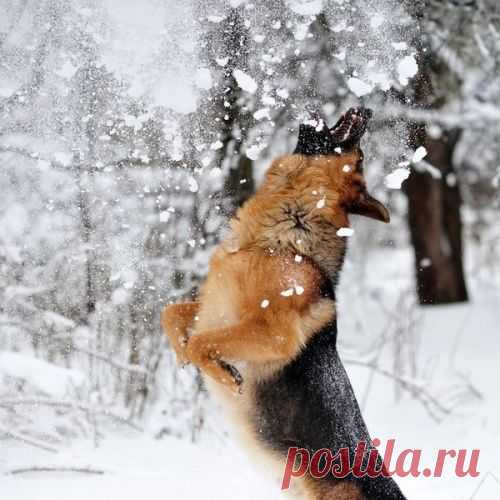 Шикарные фотографии)