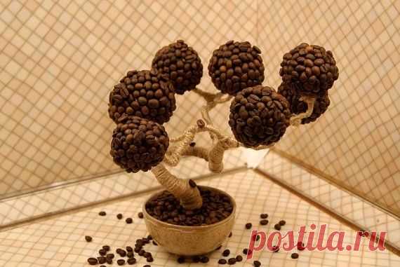 топиарий из кофе: 19 тыс изображений найдено в Яндекс.Картинках