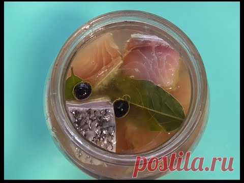Как замариновать толстолобика. Очень вкусный маринованный толстолоб