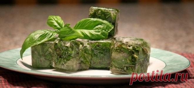 Несмотря на то, что вне базиликового сезона на полках супермаркетов без проблем можно найти пачку высушенных трав, нельзя поспорить с тем, что замороженная зелень куда более богата вкусом и ароматом.