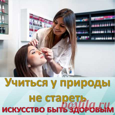 Учиться у природы не стареть
Сегодня особенно востребованными становятся такие критерии внешности человека, как красота, молодость, здоровый и ухоженный вид. 
Однако современный образ жизни с его насыщенным ритмом, стрессами, неблагоприятной экологической обстановкой, психоэмоциональными перегрузками способствует быстрому истощению внутренних ресурсов организма. Ультрафиолетовое излучение, неадаптированный уход за кожей с применением ПАВ и растворителей, механические повреждения приводят к