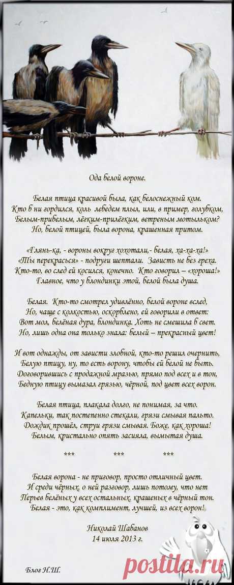 ода БЕЛОЙ вороне