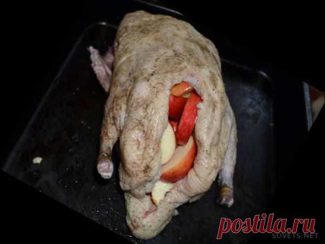 Как готовить утку в духовке – лучшие рецепты с