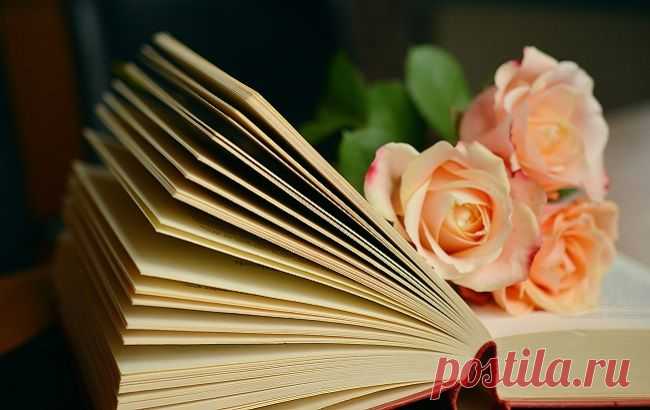 Читать или смотреть: топ лучших экранизированных книг всех времен Подробнее читайте на сайте