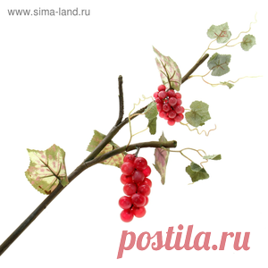 Домашний разрыхлитель для теста (пекарский порошок)