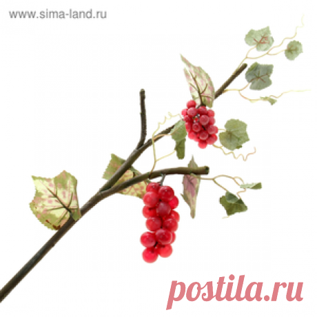 Домашний разрыхлитель для теста (пекарский порошок)