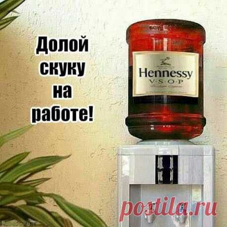 (51) Pinterest