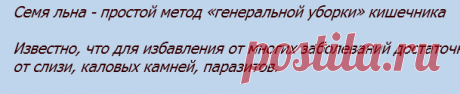 СЕМЯ ЛЬНА - ПРОСТОЙ МЕТОД «ГЕНЕРАЛЬНОЙ УБОРКИ» КИШЕЧНИКА