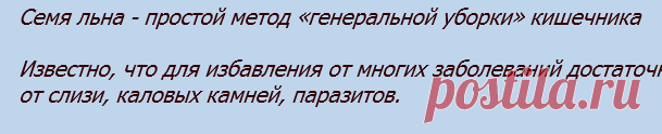 СЕМЯ ЛЬНА - ПРОСТОЙ МЕТОД «ГЕНЕРАЛЬНОЙ УБОРКИ» КИШЕЧНИКА
