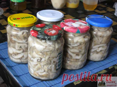 КУЛИНАРИЯ | Записи в рубрике КУЛИНАРИЯ | Дневник Дария_Швельниц