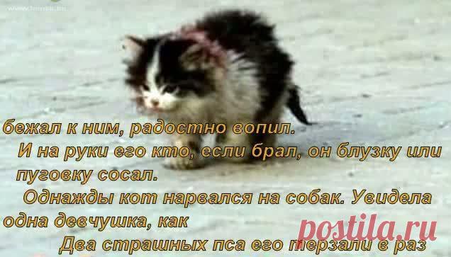 Плейкаст «МЫ В ОТВЕТЕ ЗА ТЕХ, КОГО ПРИРУЧИЛИ...»