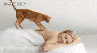 Google+