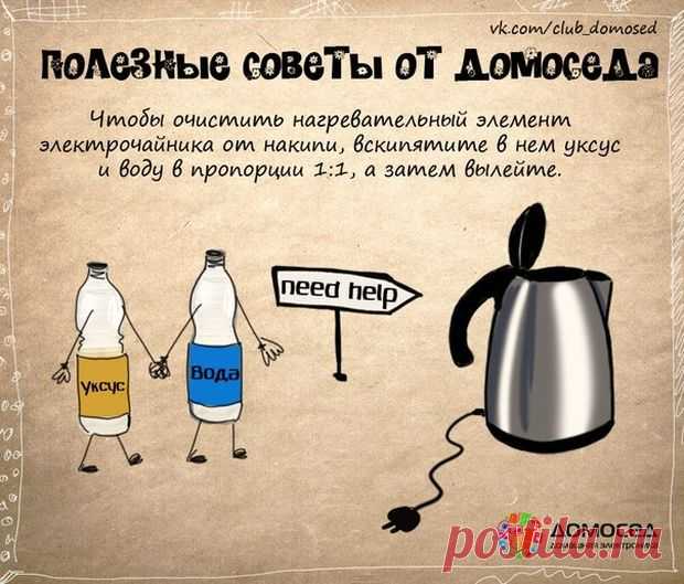 Полезные советы от Домоседа