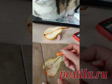 Масляная пастель и груша! #маслянаяпастель #скетч
