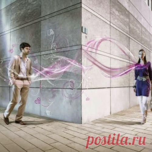 СИНХРОНИЯ - НЕСЛУЧАЙНЫЕ СЛУЧАЙНОСТИ