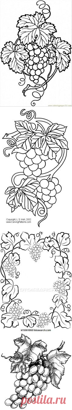 (167) Grape 10 | cizim