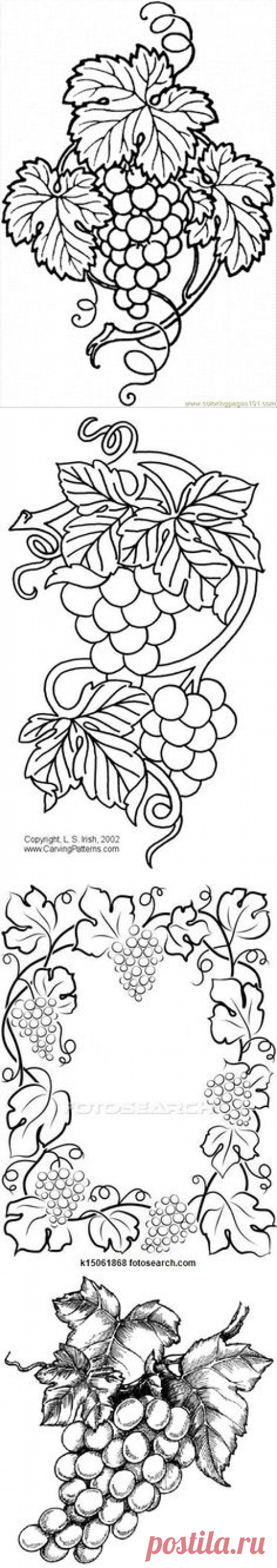 (167) Grape 10 | cizim