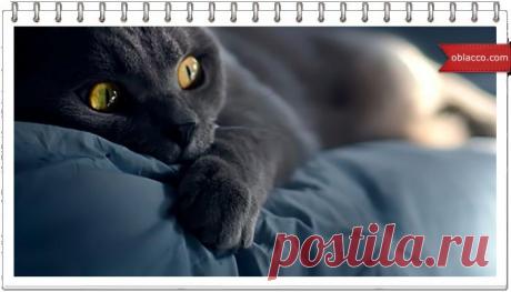 Постельное белье. Правильный выбор | oblacco