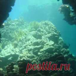 Назад в СССР / Back in USSR