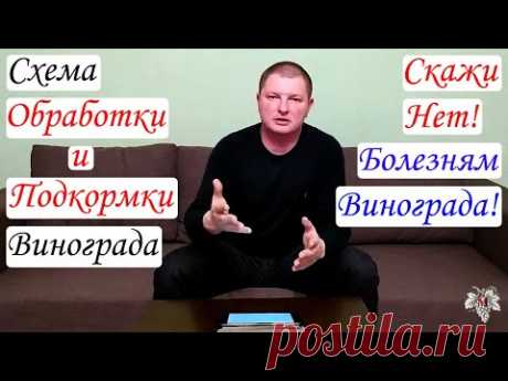 Схема ОБРАБОТКИ и ПОДКОРМКИ винограда 2021