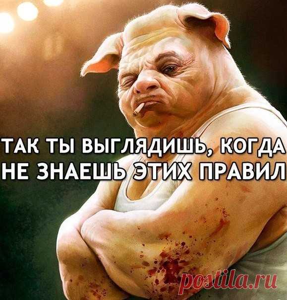 (71) Одноклассники