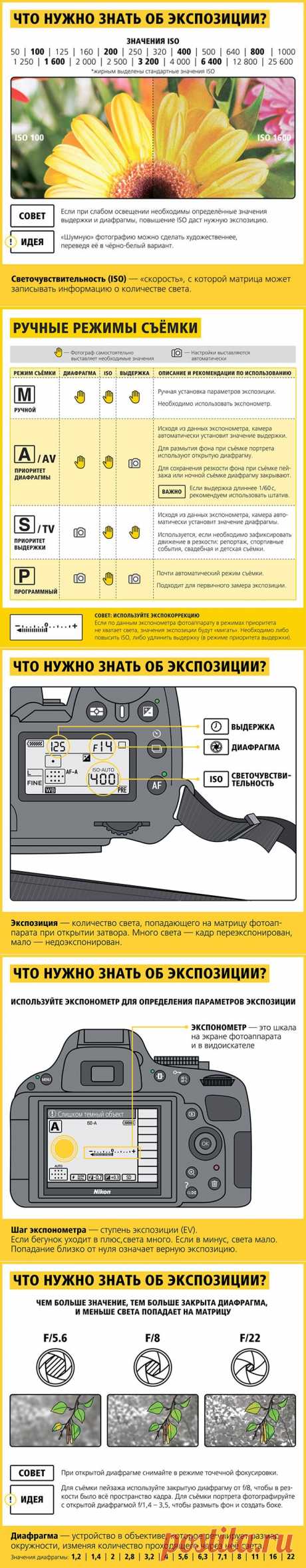 Советы начинающему фотографу