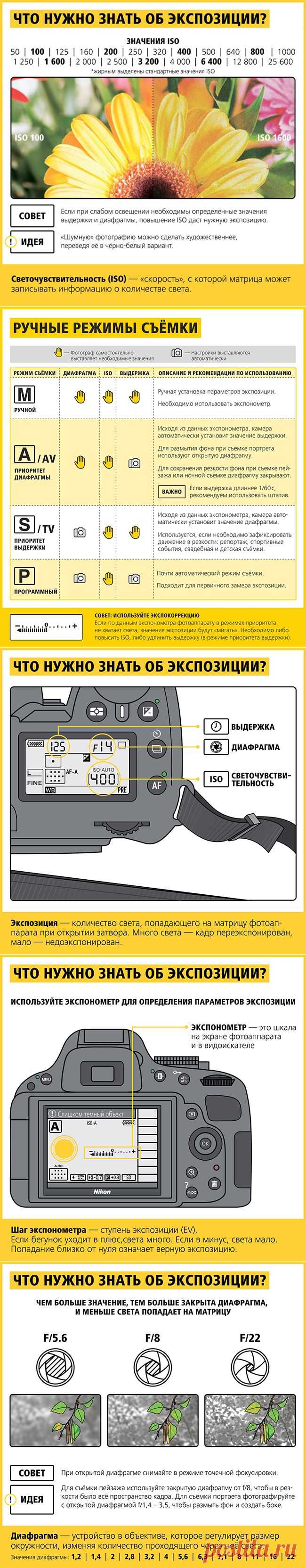 Советы начинающему фотографу