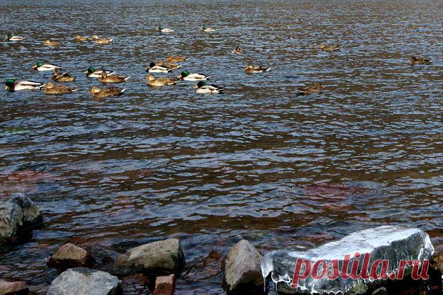 Валерий Кириллов
Россия, г. Удомля (Удомельский район)