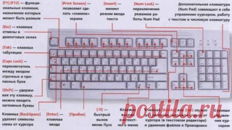 ОБОЗНАЧЕНИЕ КЛАВИШ НА КЛАВИАТУРЕ КОМПЬЮТЕРА!!!
---------------------------------------------------------------------------------------------
Чтобы не потерять ,  жмите класс, а потом поделиться.
-------------------------------------------------------------------------------------------
F1— вызывает «справку» Windows или окно помощи активной программы. В Microsoft Word комбинация клавиш Shift+F1 показывает форматирование текста;
F2— переименовывает выделенный объект на рабочем столе или в окне п