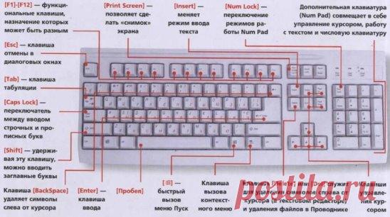 ОБОЗНАЧЕНИЕ КЛАВИШ НА КЛАВИАТУРЕ КОМПЬЮТЕРА!!!
---------------------------------------------------------------------------------------------
Чтобы не потерять ,  жмите класс, а потом поделиться.
-------------------------------------------------------------------------------------------
F1— вызывает «справку» Windows или окно помощи активной программы. В Microsoft Word комбинация клавиш Shift+F1 показывает форматирование текста;
F2— переименовывает выделенный объект на рабочем столе или в окне п