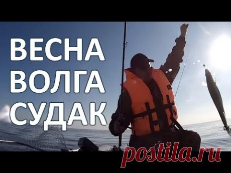 Ловля судака на джиг весной