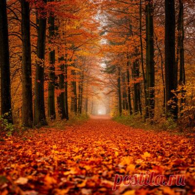 Тема на немецком осень — Herbst — Изучаем немецкий язык онлайн