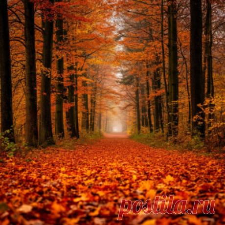 Тема на немецком осень — Herbst — Изучаем немецкий язык онлайн