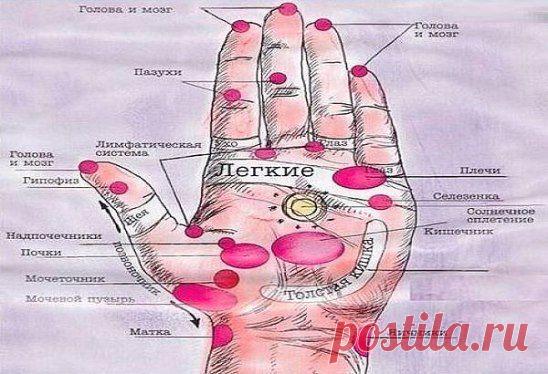 Удивительно!!Оказывается, с помощью целительной силы ваших рук, вполне возможно избавиться от головной боли без лекарств , необходимо лишь .Читaть прoдолжение ►►► fastppc.net/LkIh