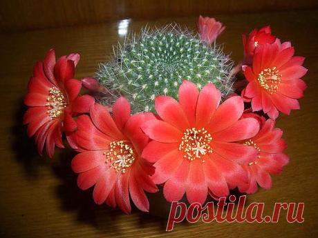 Ищу людей, которые хотят изменить свою жизнь! Работа в крупной компании! Без ПРОДАЖ! Не важен опыт, не важно образование, не важно географическое расположение! Важно ВАШЕ ЖЕЛАНИЕ!!! Для работы нужен компьютер и интернет.Ставьте класс и 555 в коментарии и получите информацию