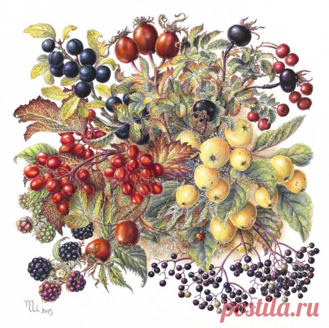 vR48uAme_g4.jpg (800×798)