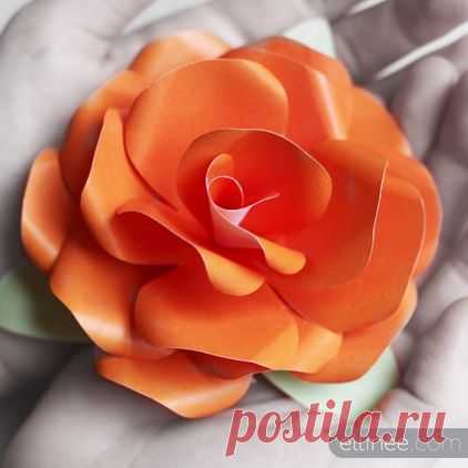 Красивая роза из бумаги