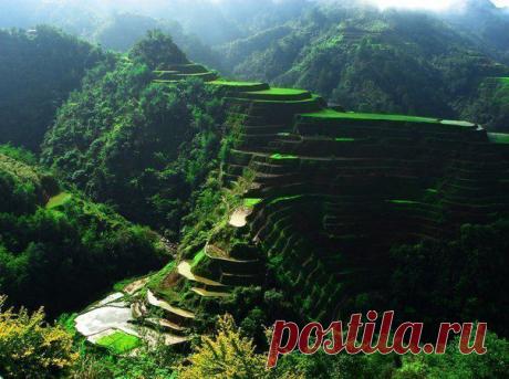 Рисовые террасы, Филиппины.