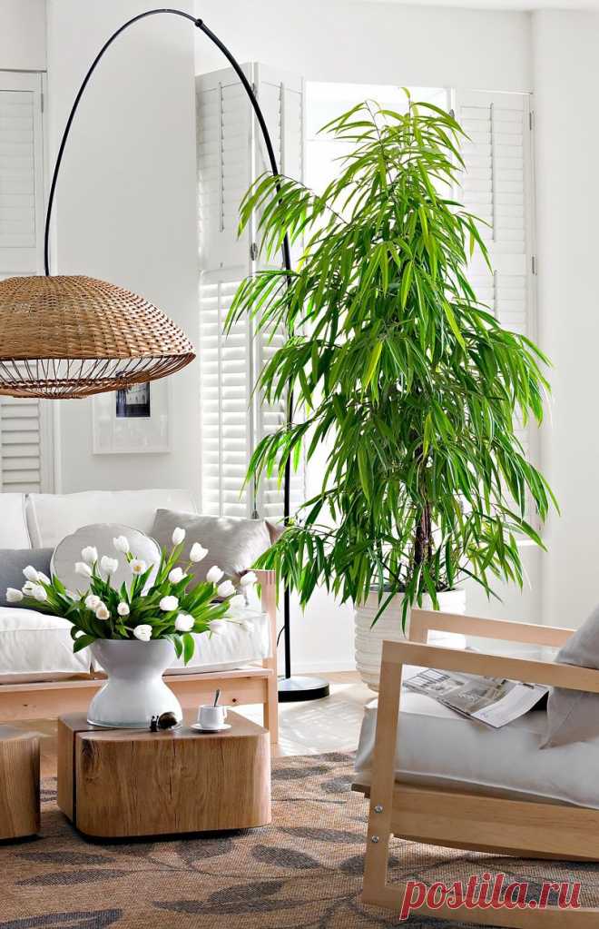 *Дизайн и декор* - Детали: комнатные цветы