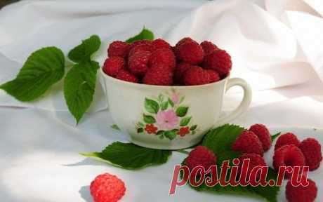 СПИСОК 10 ПРОДУКТОВ - УБИЙЦ РАКОВЫХ КЛЕТОК - &quot;&quot;&quot;&quot;&quot;БУДЬ ЗДОРОВ - Группы Мой Мир
