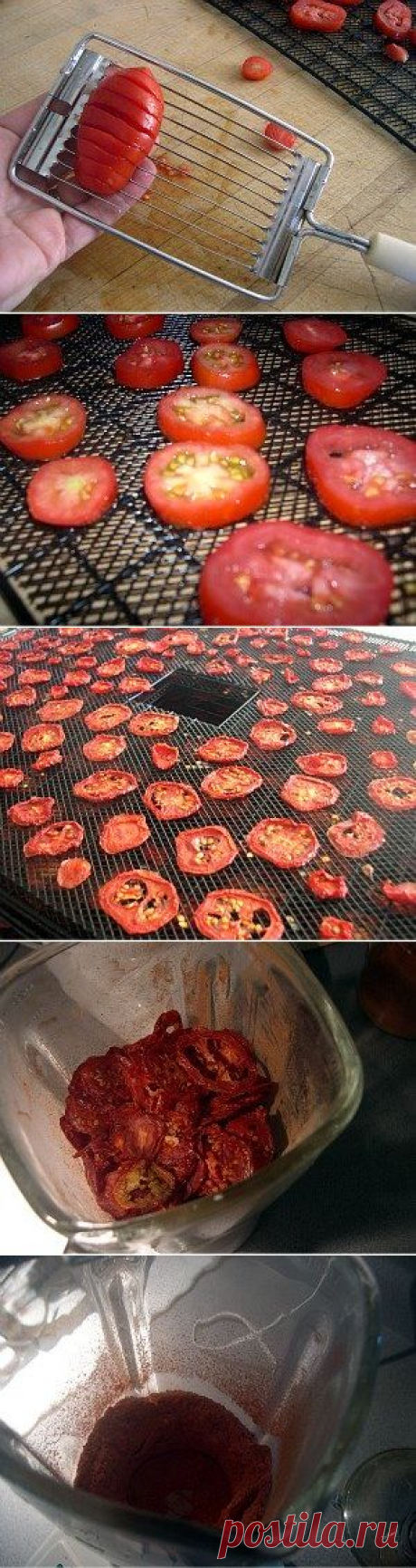 Dehydrating Tomatoes in a food dehydrator