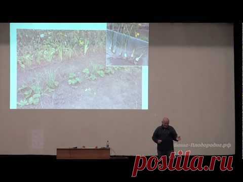 Семинар Б.А.Бублика «Самодостаточный огород» (2012)