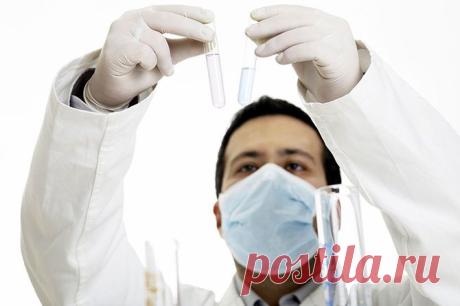 Всем нуждающимся. В Петербурге разработали аналоги зарубежных лекарств против рака - Санкт-Петербург - Регионы - SmartNews.ru