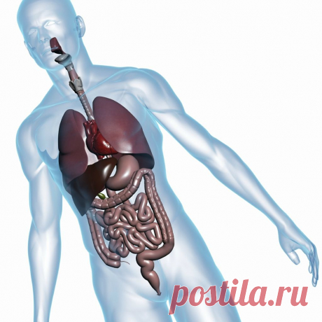 98 самых интересных фактов о человеческом теле.