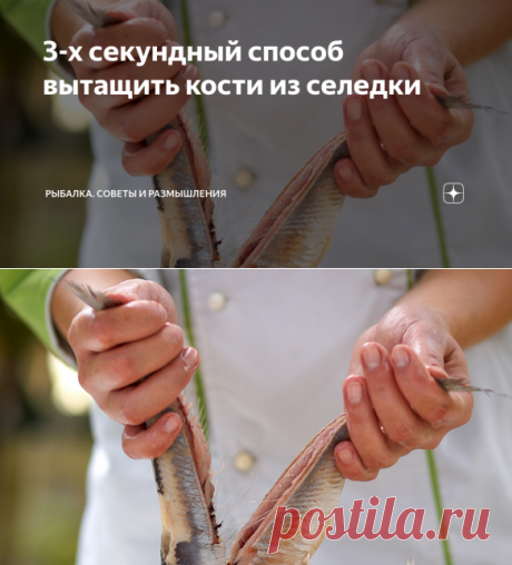 3-х секундный способ вытащить кости из селедки | Рыбалка. Советы и размышления | Яндекс Дзен