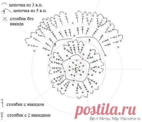 цветок крючком схемы - Поиск в Google