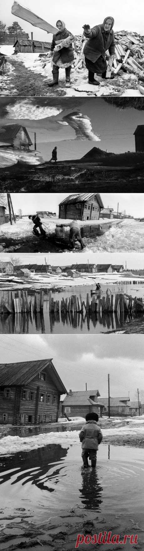 Фотоистория Александра Степаненко: “Будни архангельской деревни” — Фотоискусство