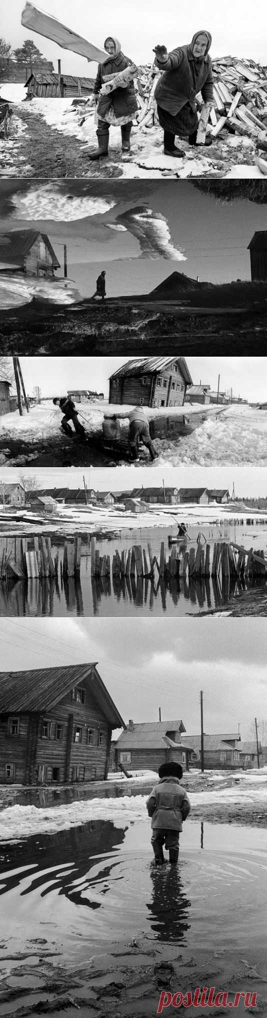Фотоистория Александра Степаненко: “Будни архангельской деревни” — Фотоискусство
