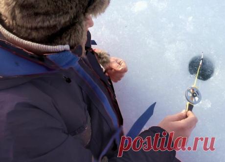 Уклейка зимой: 4 простых правила успешной рыбалки | Рыбалка для людей | Яндекс Дзен