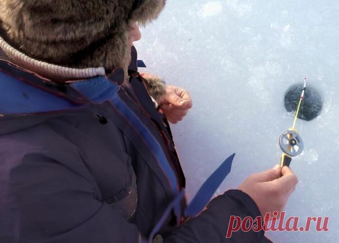 Уклейка зимой: 4 простых правила успешной рыбалки | Рыбалка для людей | Яндекс Дзен